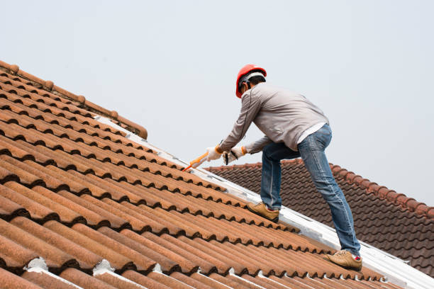 Best Roof Maintenance and Cleaning  in Friendship Heights Village, MD